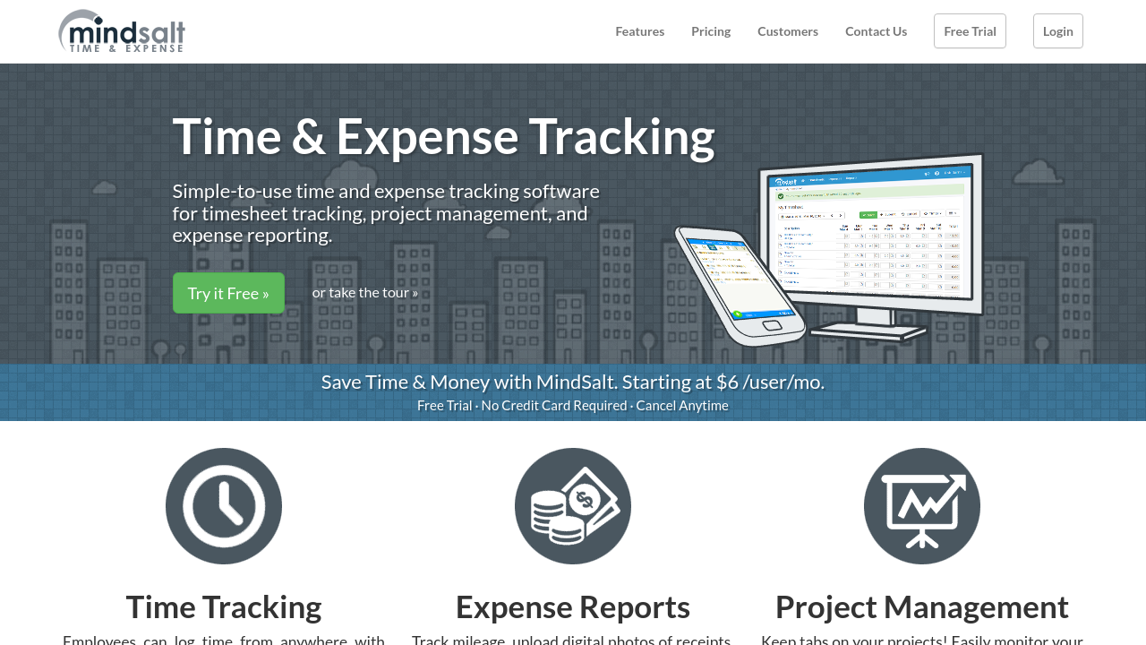 MindSalt Time Expense